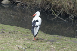 DSC01713.jpg