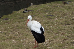 DSC01715.jpg