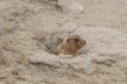 DSC01725.jpg