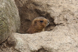 DSC01727.jpg