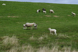 DSC01830.jpg