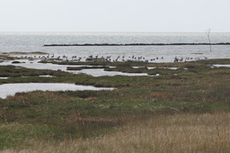 DSC01833.jpg