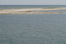 DSC02128.jpg
