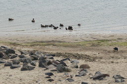 DSC02132.jpg