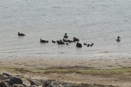 DSC02133.jpg