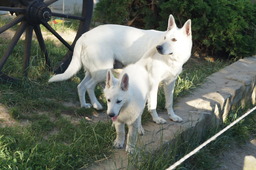 DSC02149.jpg