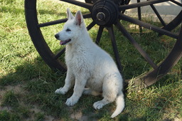 DSC02175.jpg