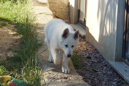 DSC02178.jpg