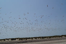 DSC02354.jpg
