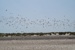 DSC02358.jpg