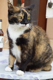 DSC02745.jpg