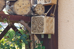 DSC02753.jpg