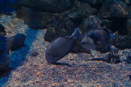 DSC02855.jpg