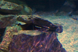 DSC02857.jpg