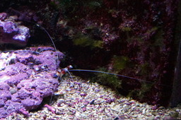 DSC02860.jpg