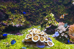 DSC02865.jpg