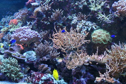 DSC02869.jpg