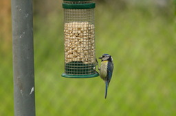 DSC04745.jpg