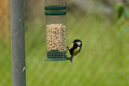 DSC04746.jpg