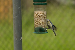DSC04752.jpg