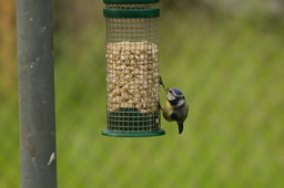 DSC04765.jpg