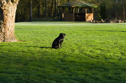 DSC05201.jpg