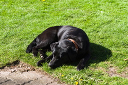 DSC05383.jpg