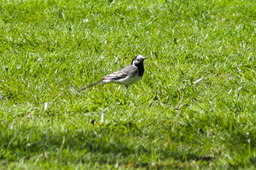 DSC05393.jpg