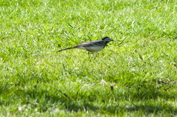 DSC05395.jpg