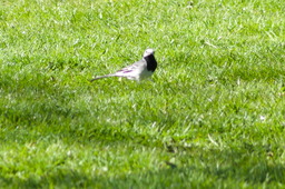DSC05403.jpg